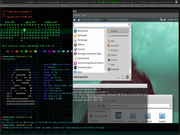 TWM Qemu